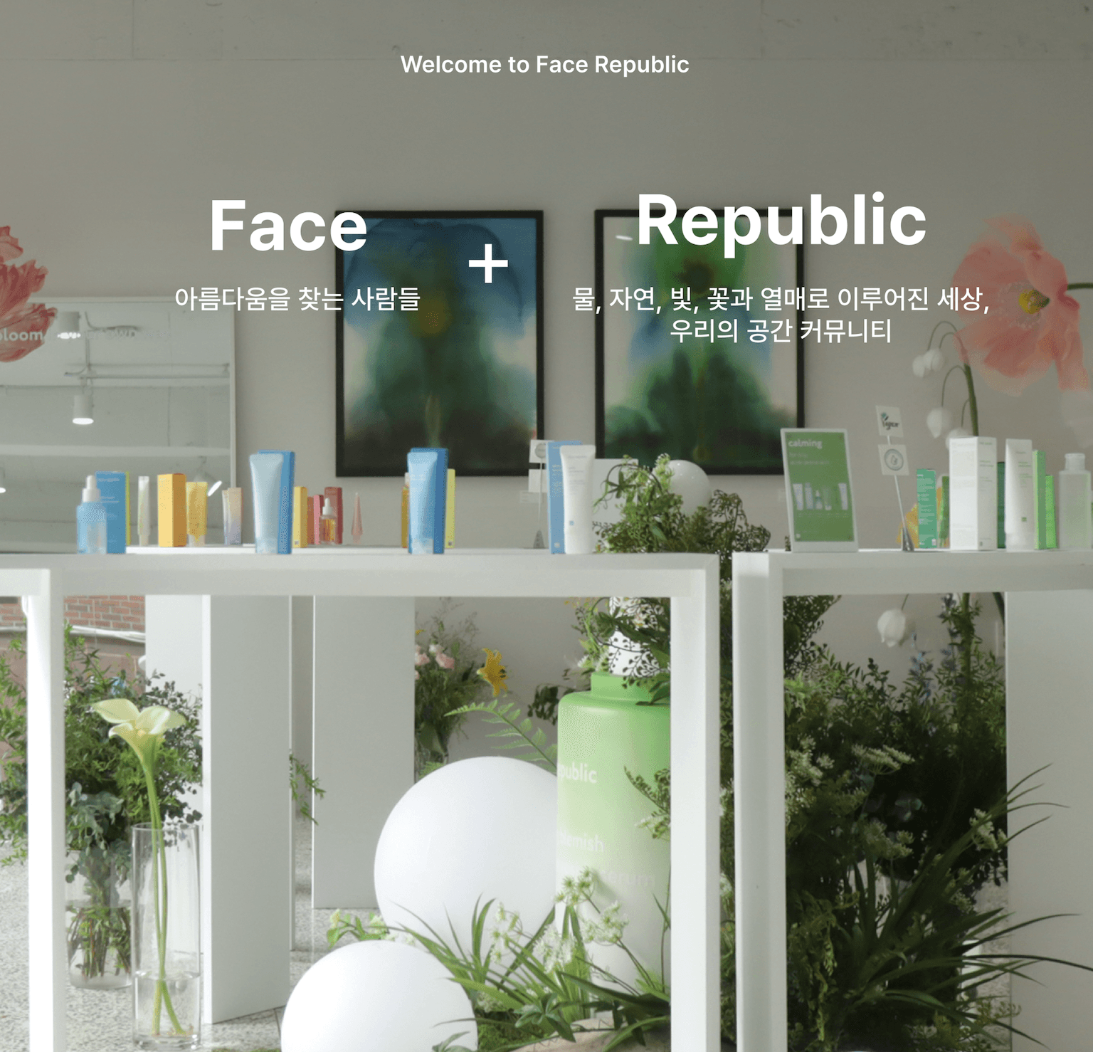 FACE REPUBLIC Welcome to Face Republic wholesale