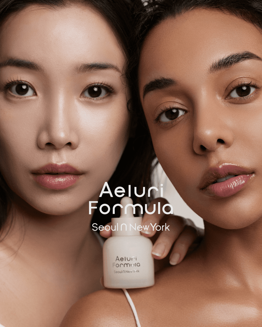 Aeluri Formula Balance in Every Layer wholesale
