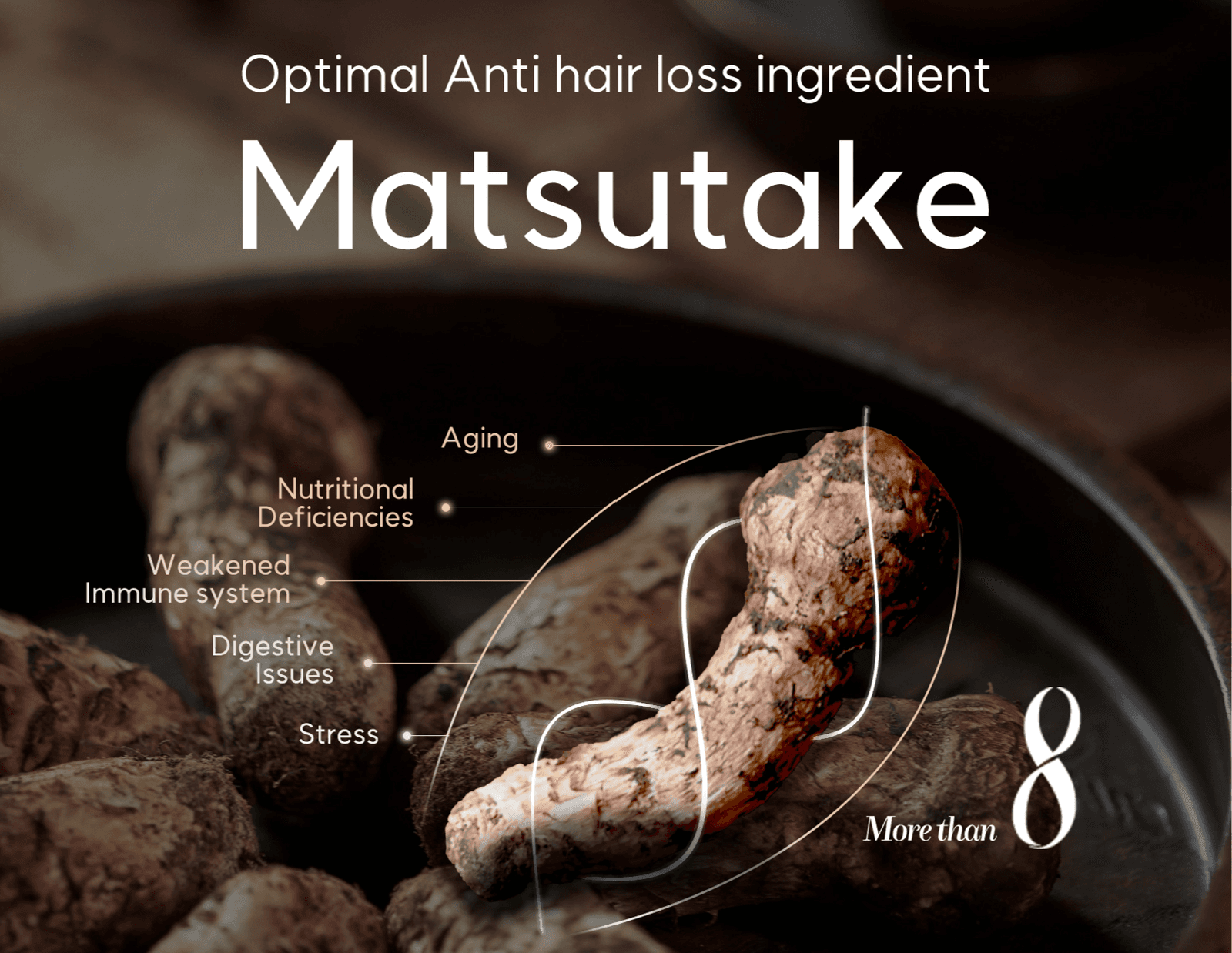 Morethan8 No.1 causes of hair loss is immunity and stress wholesale