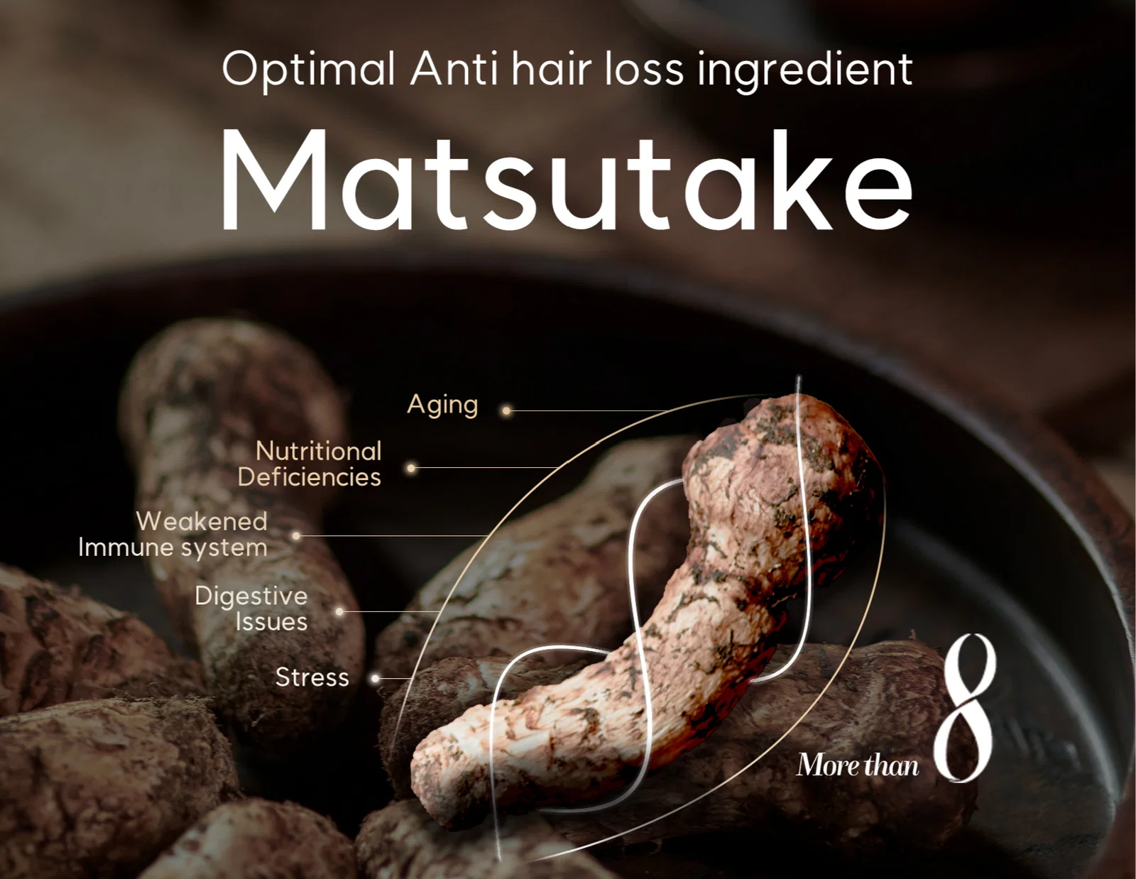 Morethan8 No.1 causes of hair loss is immunity and stress wholesale